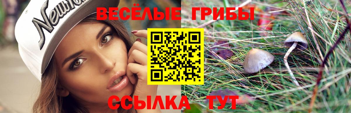 Галлюциногенные грибы GOLDEN TEACHER  Вход с VPN  закладка  Татарск 