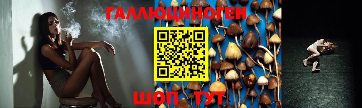 Галлюциногенные грибы Psilocybine cubensis Татарск